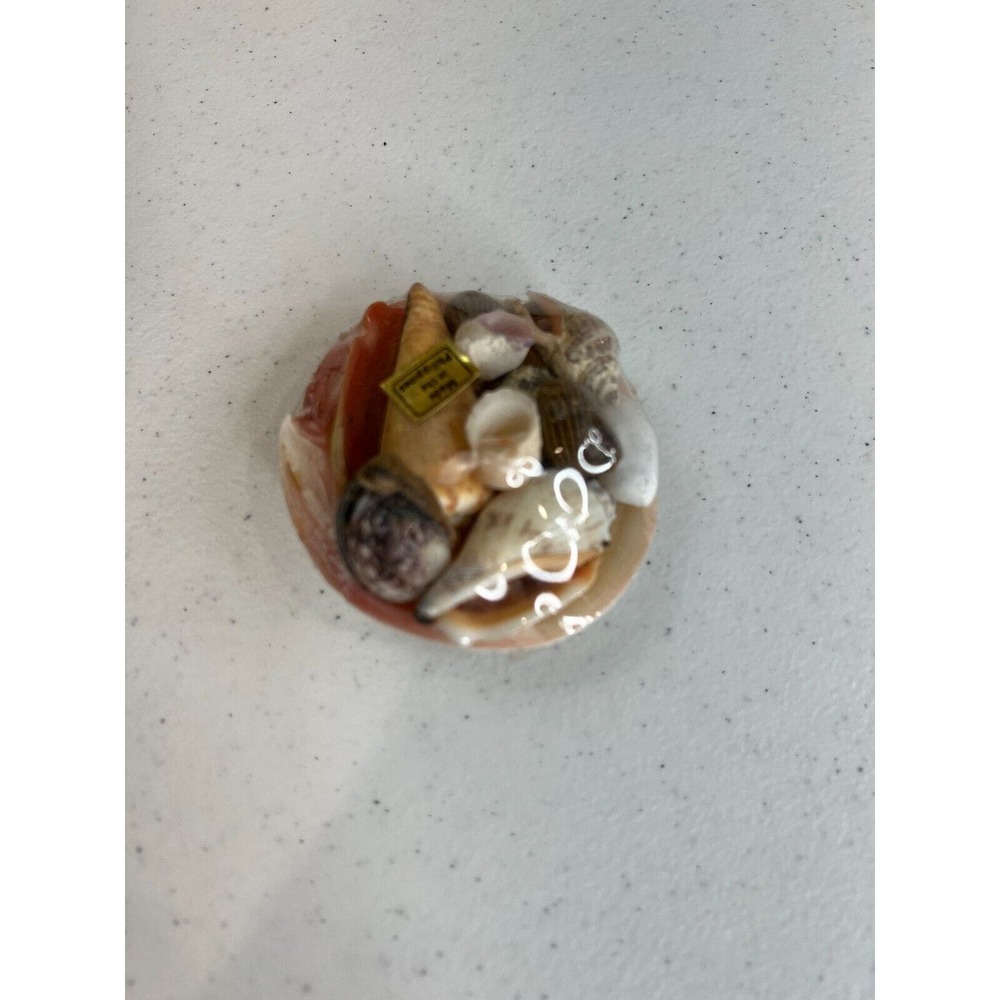 Vintage "Seashell in Bowl" Collectible Home Decorative Mini Sculpture - Lot of 2